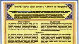 Meeting on PERSIAN Birth Cohort implementation problems